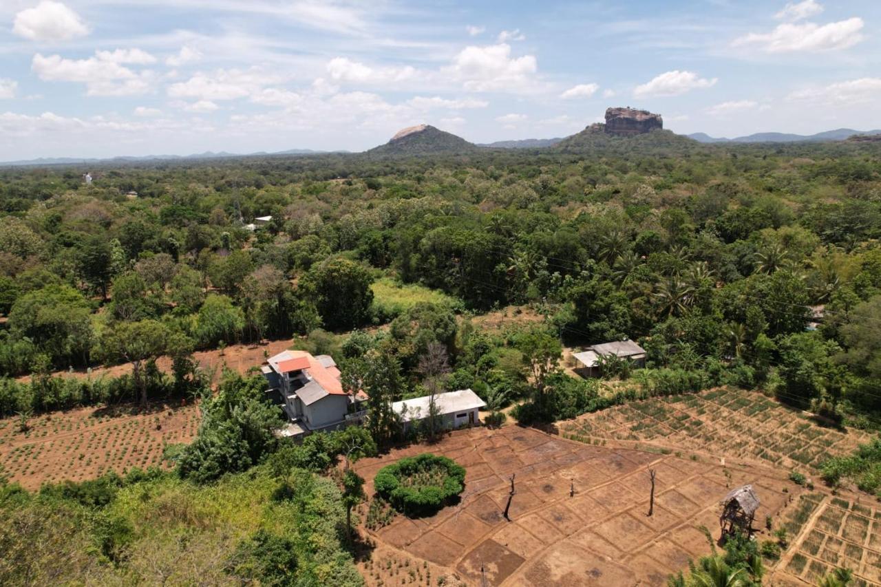 Sigiriya Sun Shine Villa Bagian luar foto