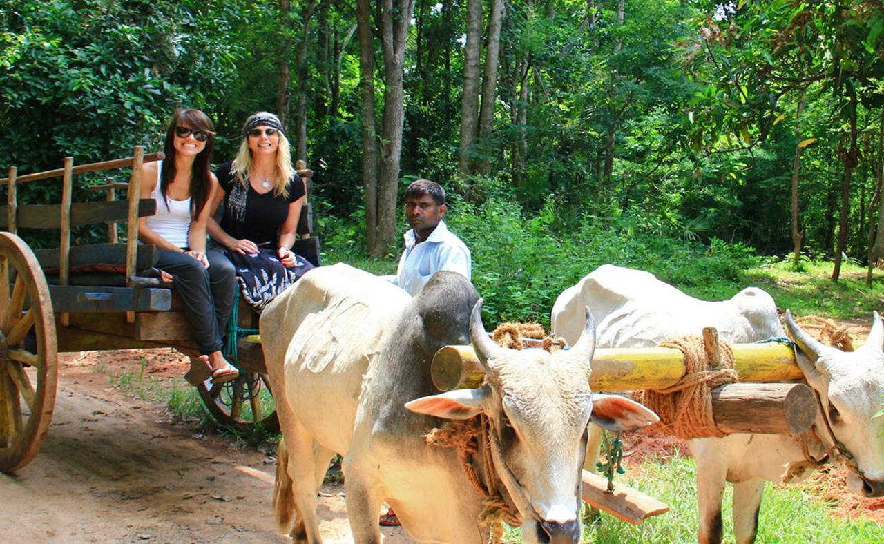 Sigiriya Sun Shine Villa Bagian luar foto